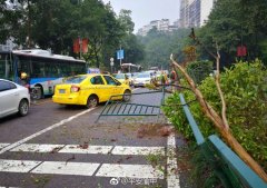 天雨路滑   出租车上演“速度与激情”