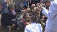 旋耕机咬人 老人左腿被卷入