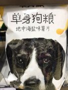 有趣！便利店现“单身狗粮” 薯片