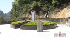 我市首推公益生态葬 特殊群体可免费安葬