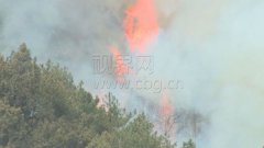 清明祭祖引发山火 两村民被刑拘