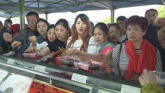 车间成景区 “工厂+旅游”模式受欢迎