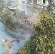 小区内浓烟滚滚   原是有人在烧落叶