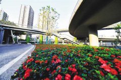 谢家湾立交进行提升改造 “灰空间”变城市景观