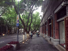 一起去山城这些最美街道漫步吧