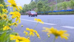 彩虹路通车 二郎到杨家坪仅需几分钟