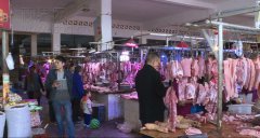 猪肉市场持续低迷价格走低 4月猪肉价格或低位震荡