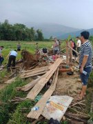 重庆男子在西双版纳遭野象攻击 当地野象活动频繁