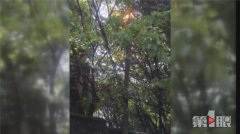 树顶的电线火花四溅  引燃路边的杂物