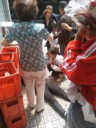 走路时和他人发生碰撞  女子倒地不起