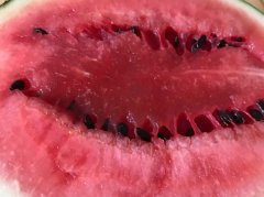 超市买来的西瓜  切开发现不能吃