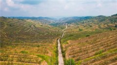 甘肃静宁：红果映黄土 一颗苹果富万家