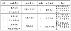 就业驿站 | 国家电投集团重庆公司发布招聘公告