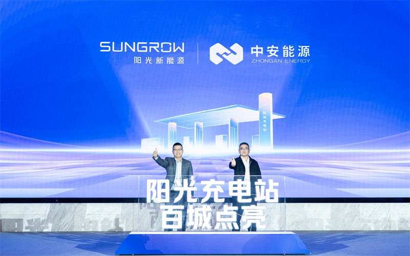 1773641174556726.jpg 4.jpg